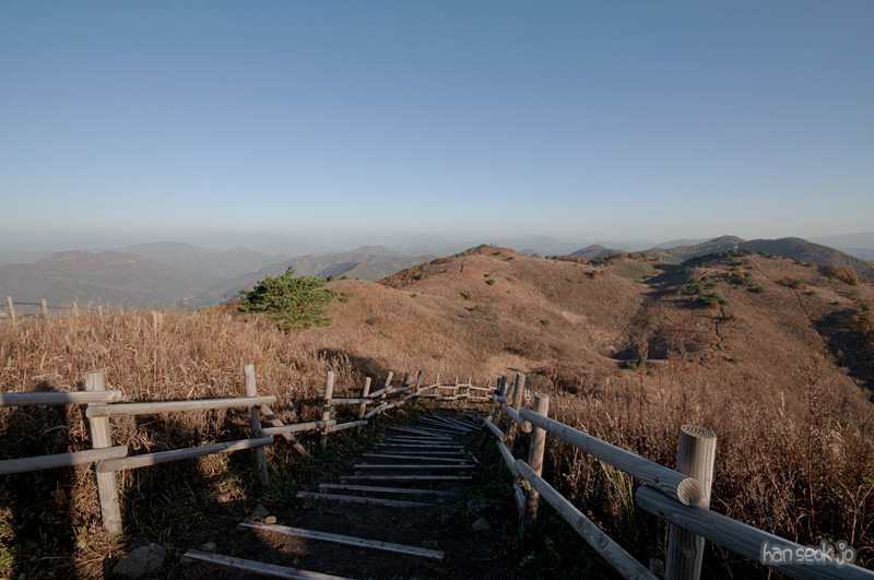 DSC_4340.jpg