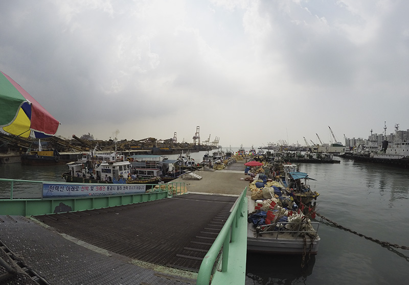 GOPR2880.jpg