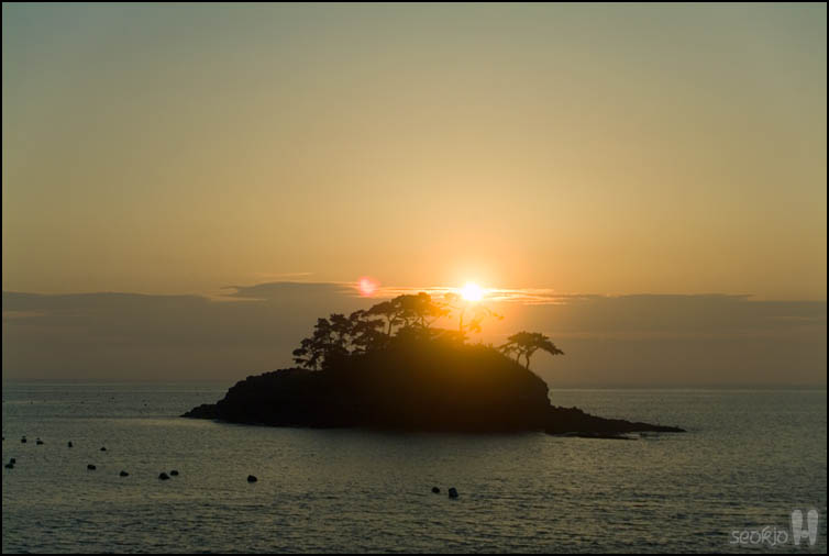 DSCF3733.jpg