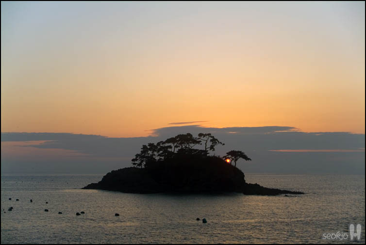 DSCF3740.jpg