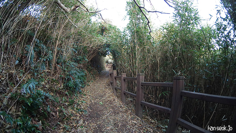 SAM_100_0216.jpg