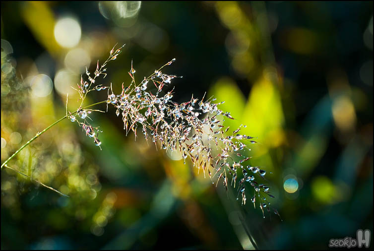 DSCF3837.jpg