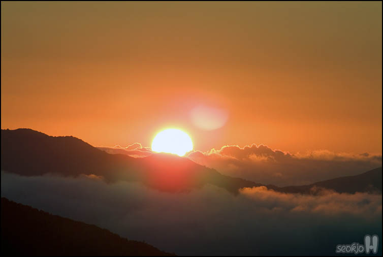 DSCF3796.jpg