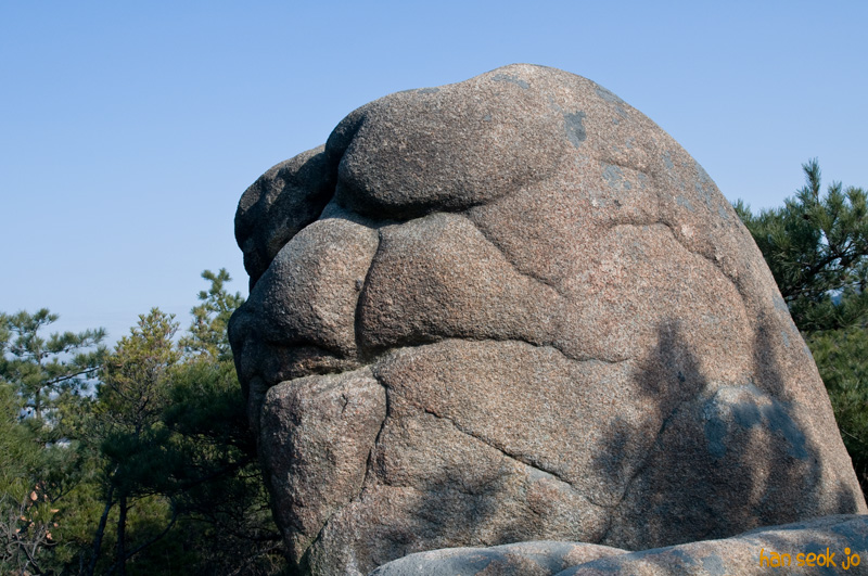 DSC_9539.jpg