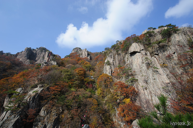 HSJ_5505.jpg