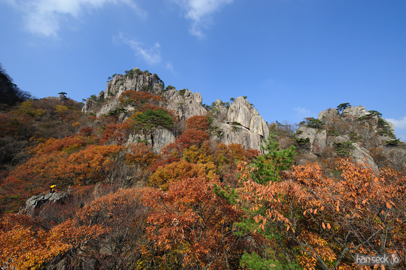 HSJ_5595.jpg