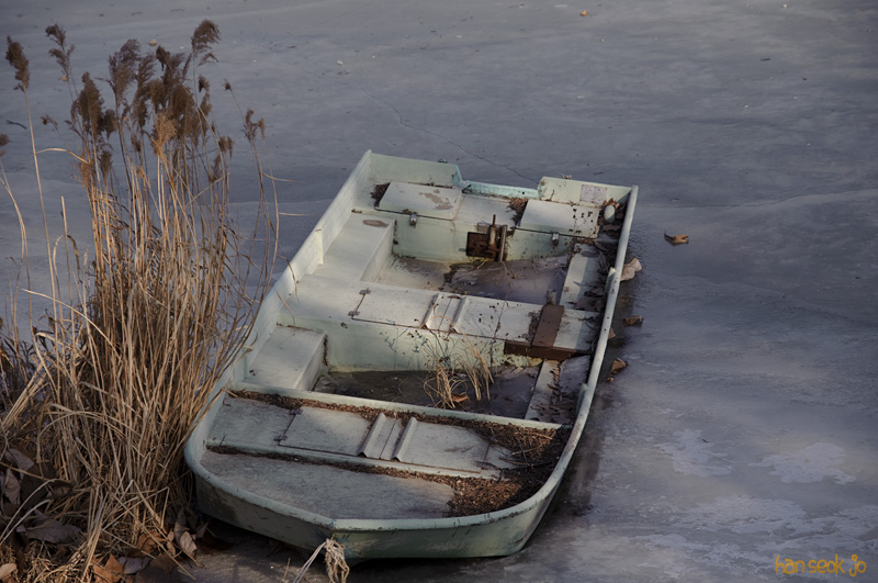DSC_9660.jpg