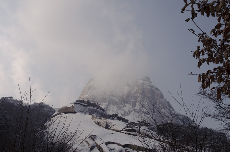 DSC_9662.jpg