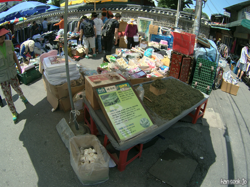 SJCM0011.jpg