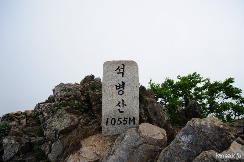 HSJ_0826.jpg