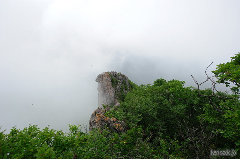 HSJ_0828.jpg