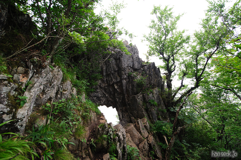 HSJ_0830.jpg