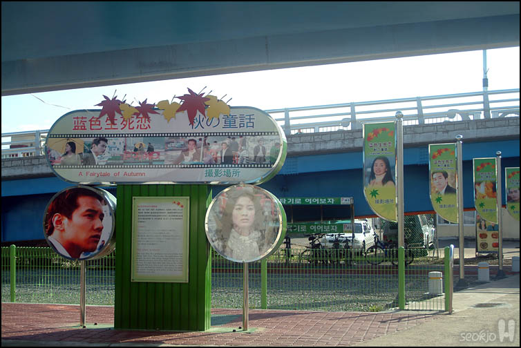 DSCF4282.jpg