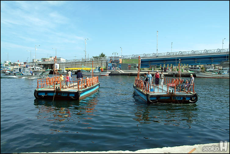 DSCF4313.jpg