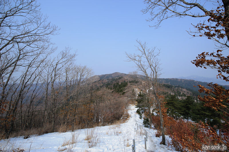 HSJ_8243.jpg