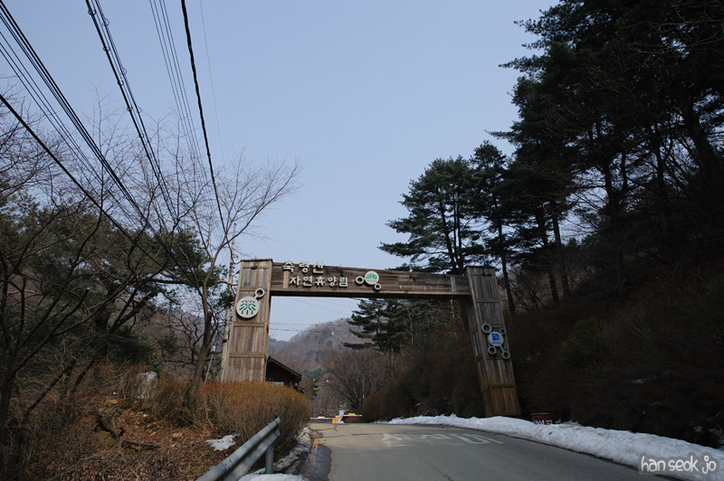 HSJ_8279.jpg
