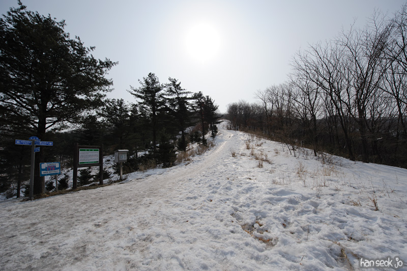 HSJ_8242.jpg
