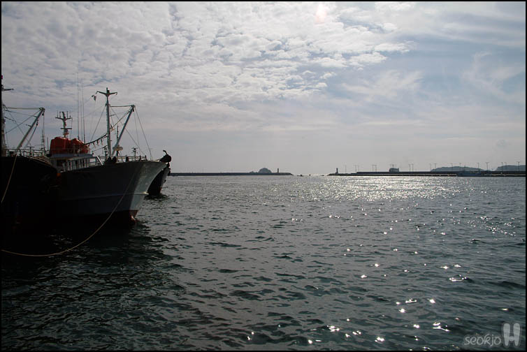 DSCF4306.jpg