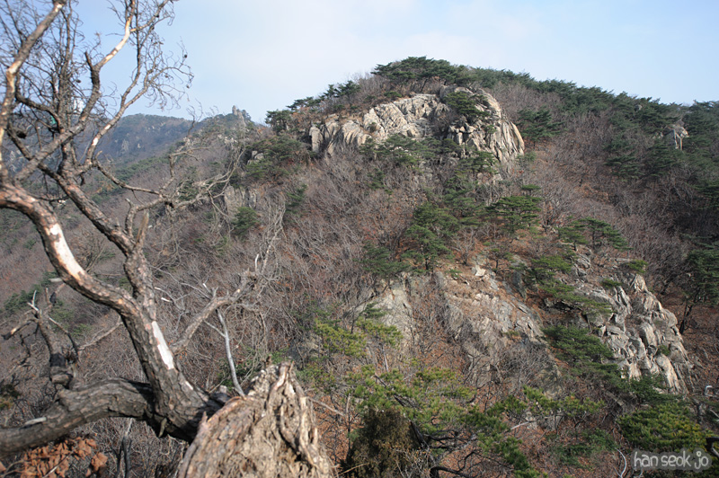 HSJ_6462.jpg