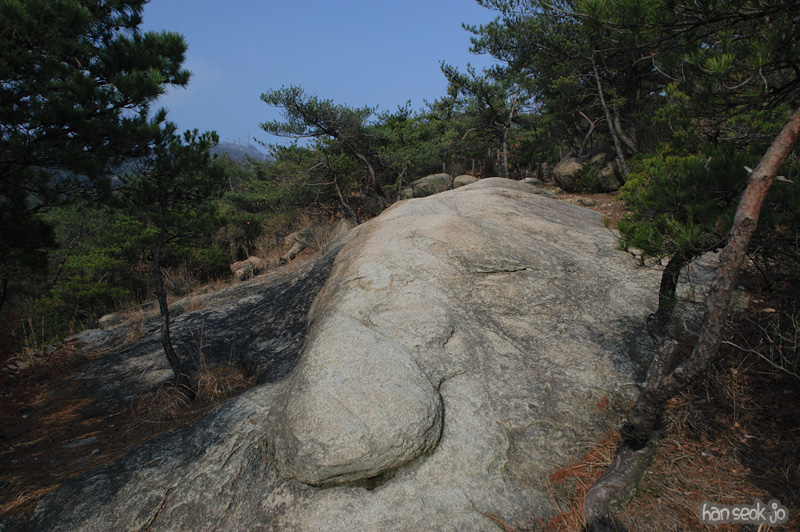 HSJ_6436.jpg