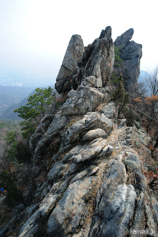 HSJ_6449.jpg