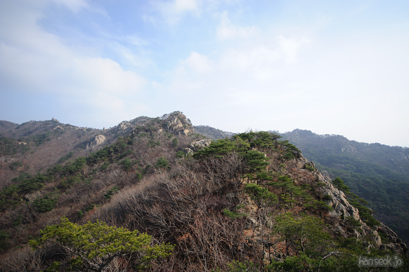 HSJ_6466.jpg