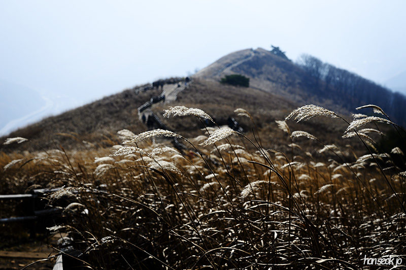 DSC_0924.jpg