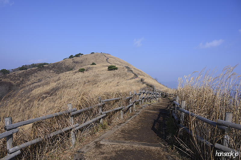 DSC_0908.jpg
