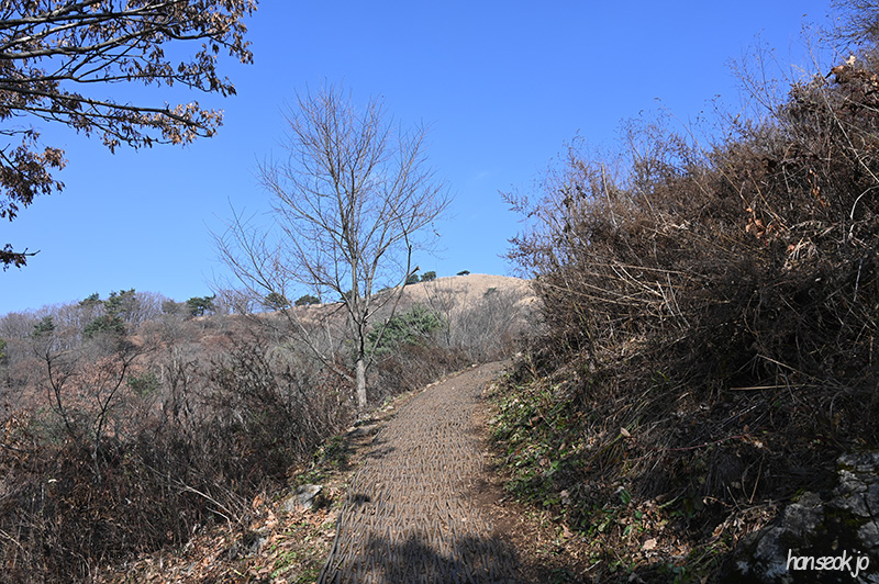 DSC_0930.jpg