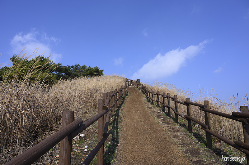 DSC_0896.jpg