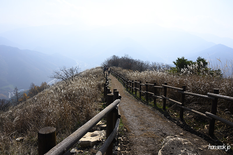 DSC_0897.jpg
