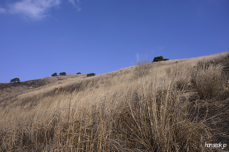 DSC_0928.jpg
