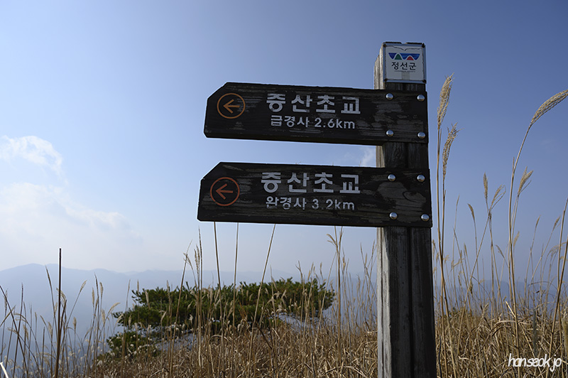 DSC_0921.jpg