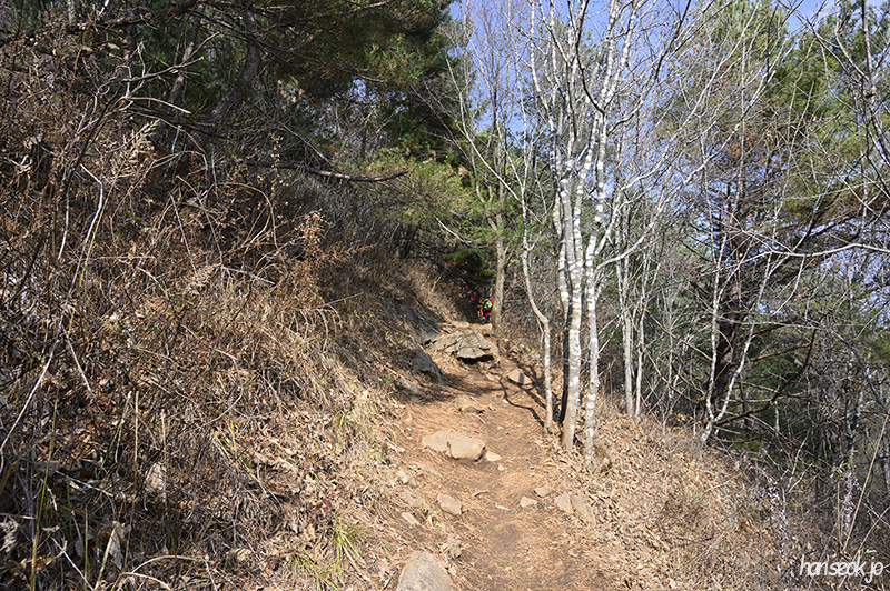 DSC_0885.jpg