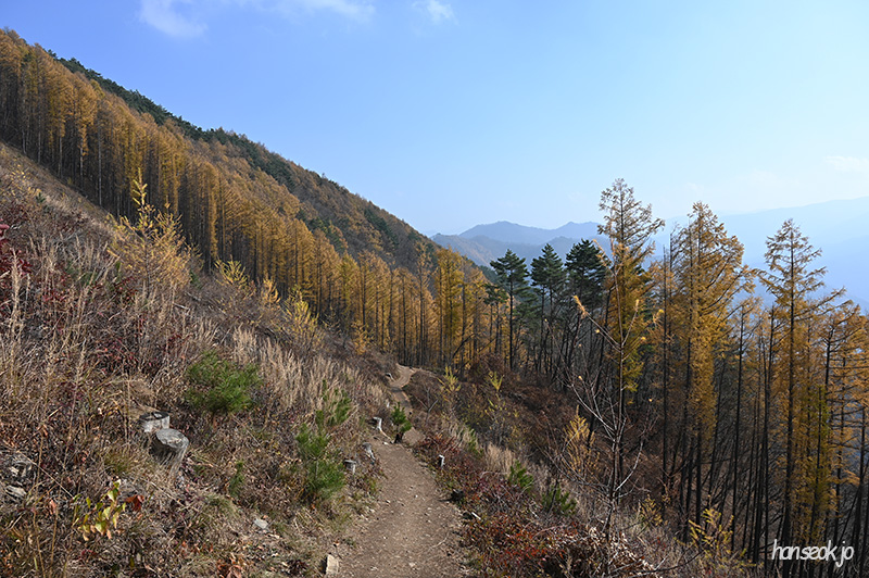 DSC_0932.jpg