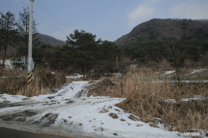 HSJ_7286.jpg