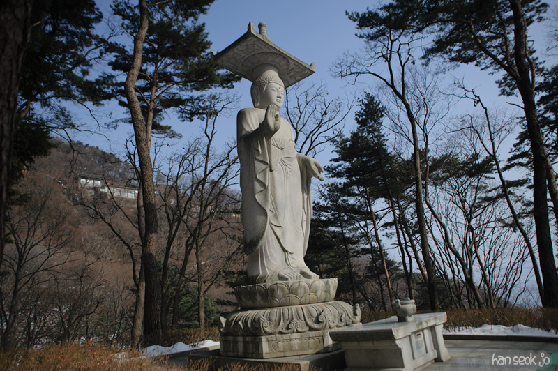 HSJ_7267.jpg