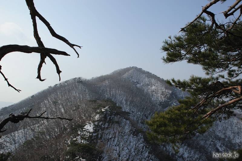 HSJ_7281.jpg