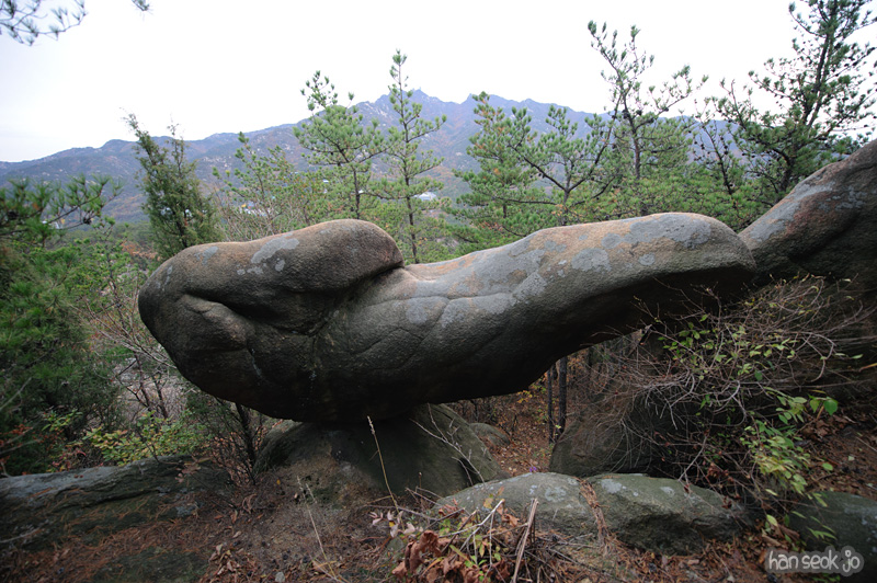 HSJ_6125.jpg