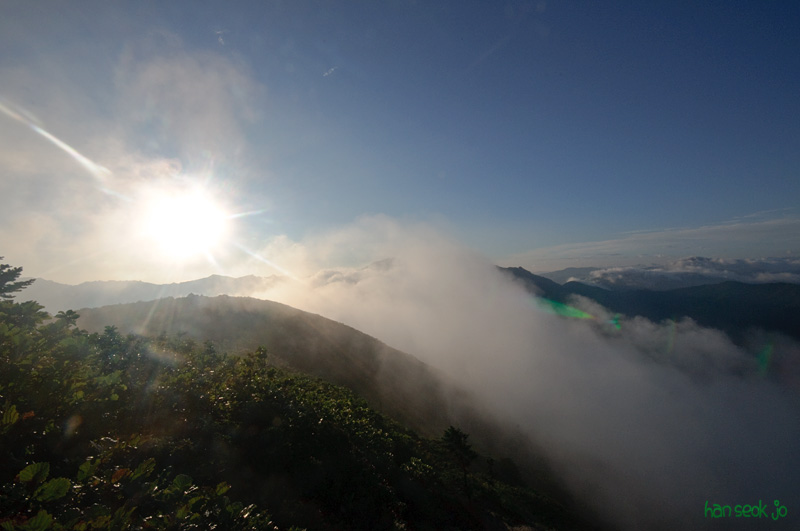 DSC_7875.jpg