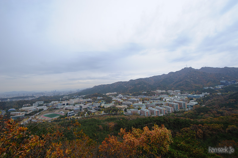 HSJ_6135.jpg