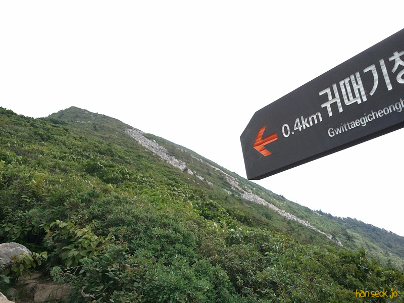 2010-07-27 14.01.35.jpg