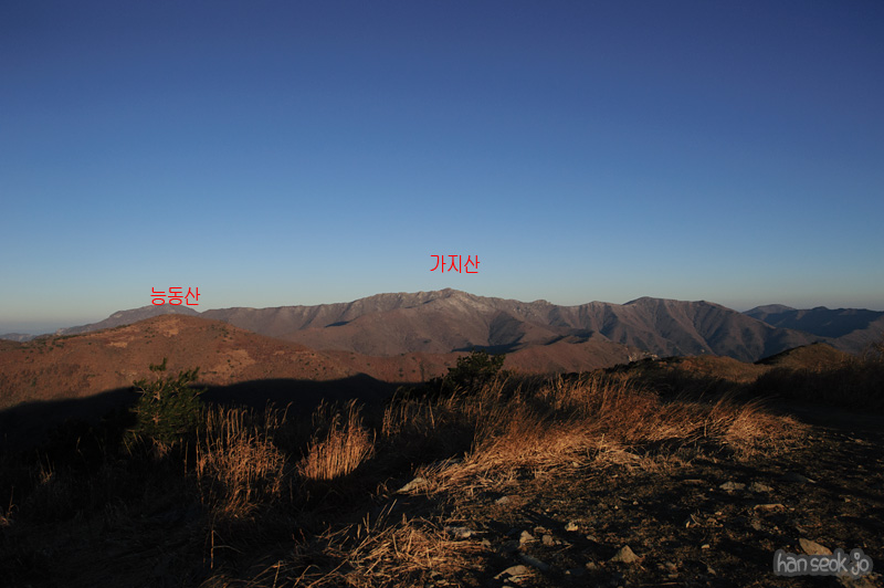 HSJ_6489.jpg
