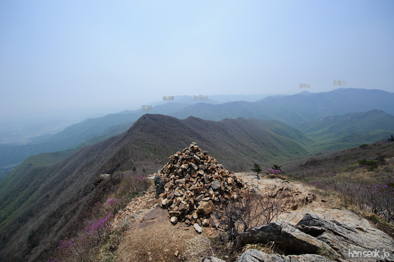 HSJ_9428.jpg