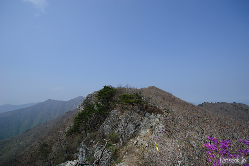 HSJ_9416.jpg