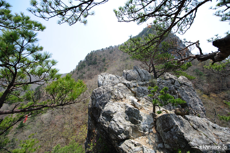 HSJ_9442.jpg