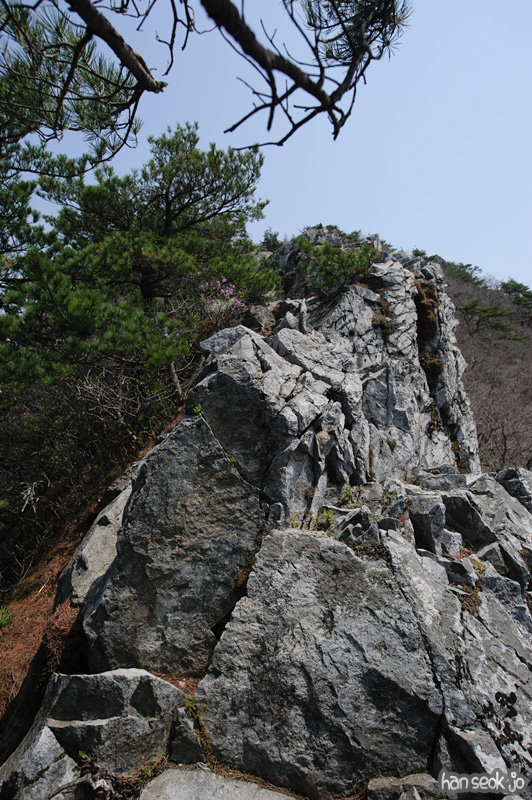 HSJ_9444.jpg