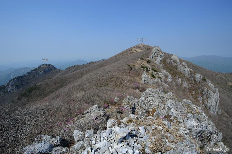 HSJ_9464.jpg