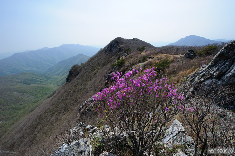 HSJ_9457.jpg