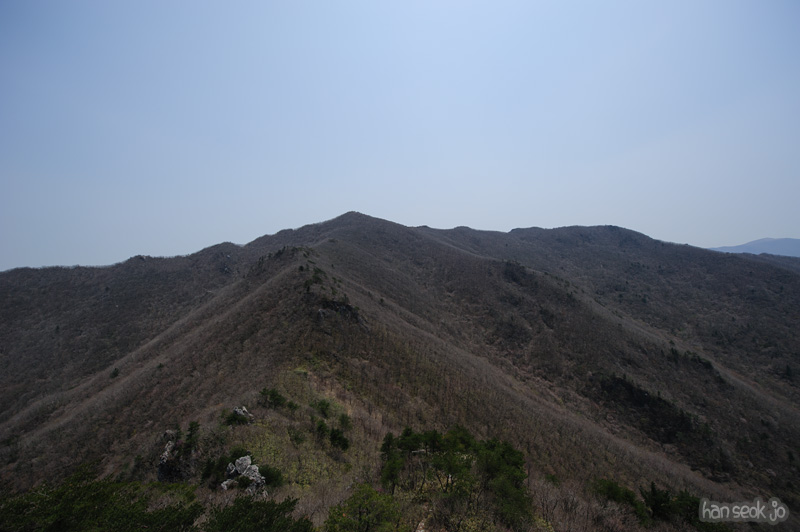 HSJ_9436.jpg